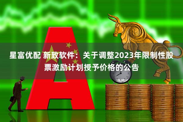 星富优配 新致软件：关于调整2023年限制性股票激励计划授予价格的公告