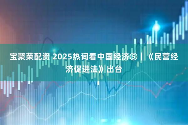 宝聚荣配资 2025热词看中国经济⑤|《民营经济促进法》出台