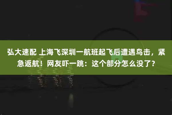 弘大速配 上海飞深圳一航班起飞后遭遇鸟击，紧急返航！网友吓一跳：这个部分怎么没了？